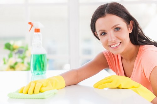 Illustration representing accessible Cleaners E8 website support