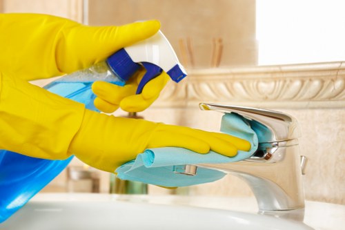 Low-carbon van fleet for cleaner local service