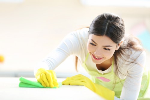 Steam carpet cleaning equipment working in an E8 home interior