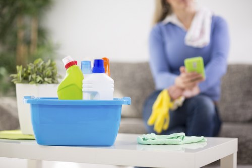 Deep steam carpet cleaning for homes and businesses in E8
